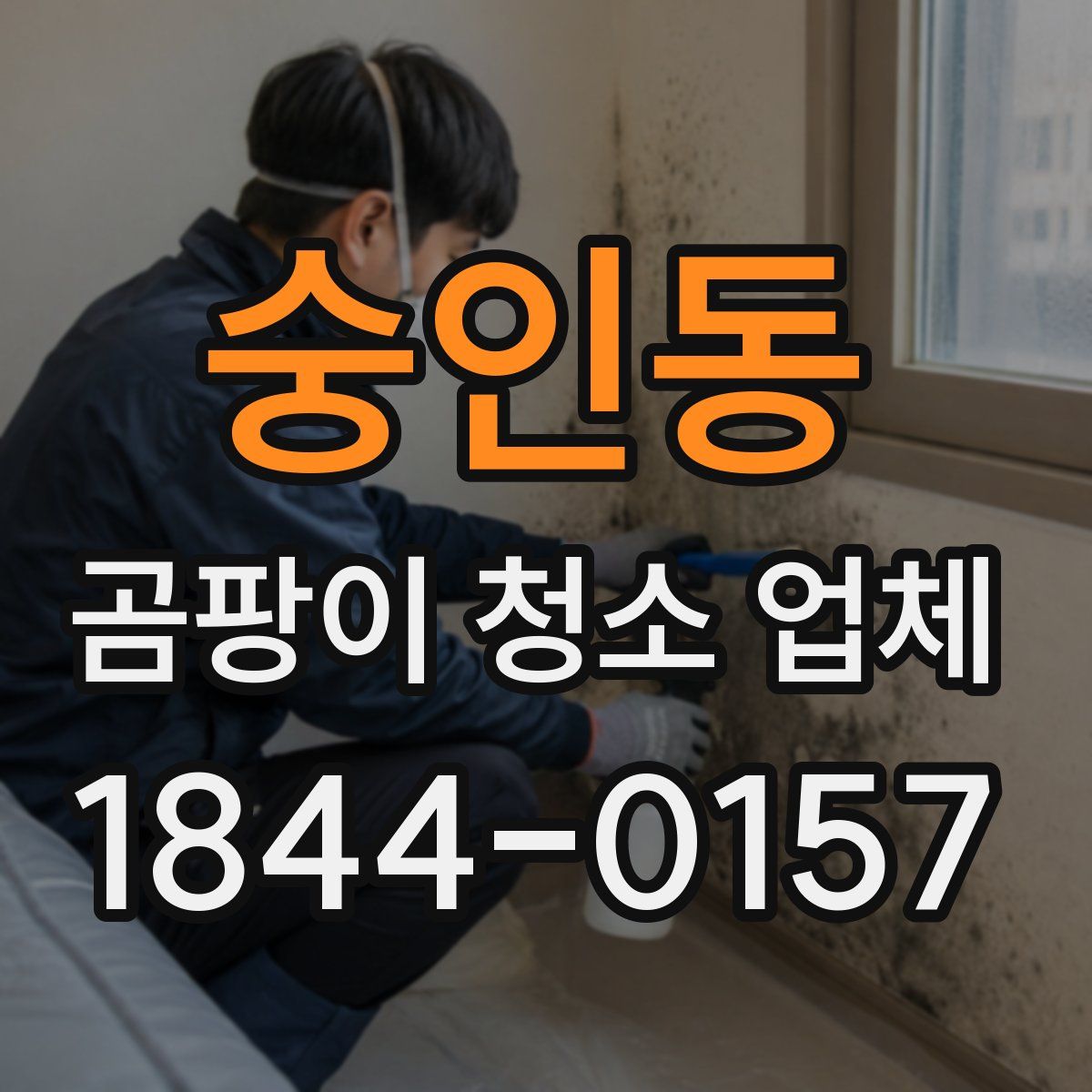 숭인동 곰팡이 청소 업체