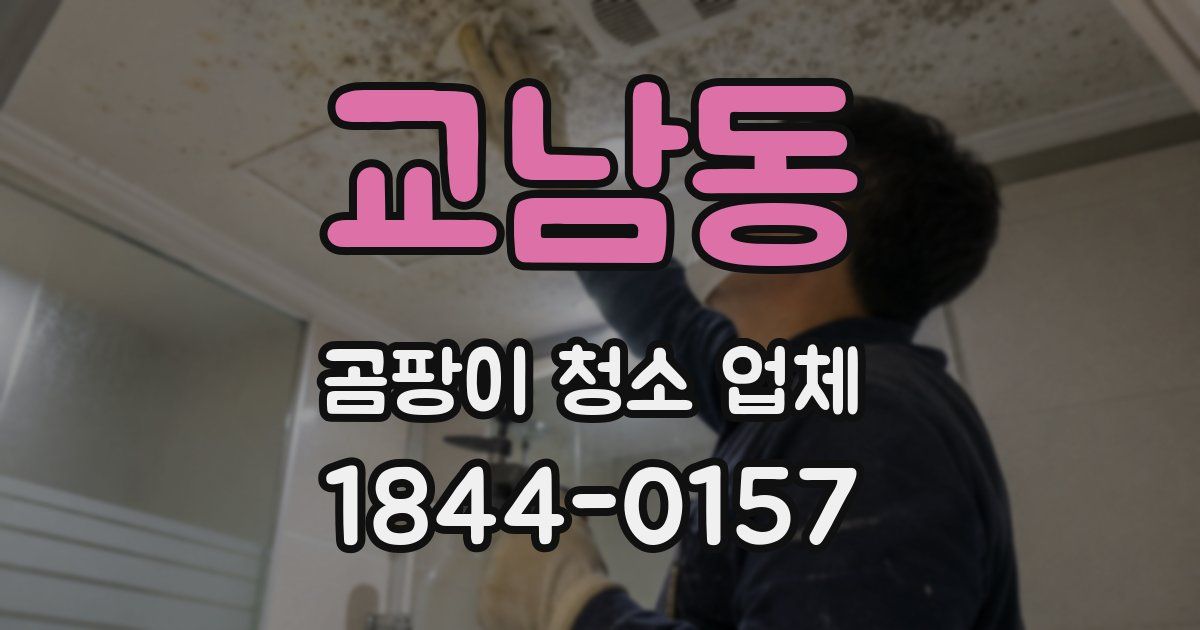 교남동 곰팡이 청소 업체