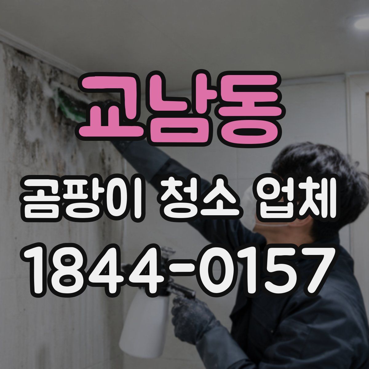 교남동 곰팡이 청소 업체