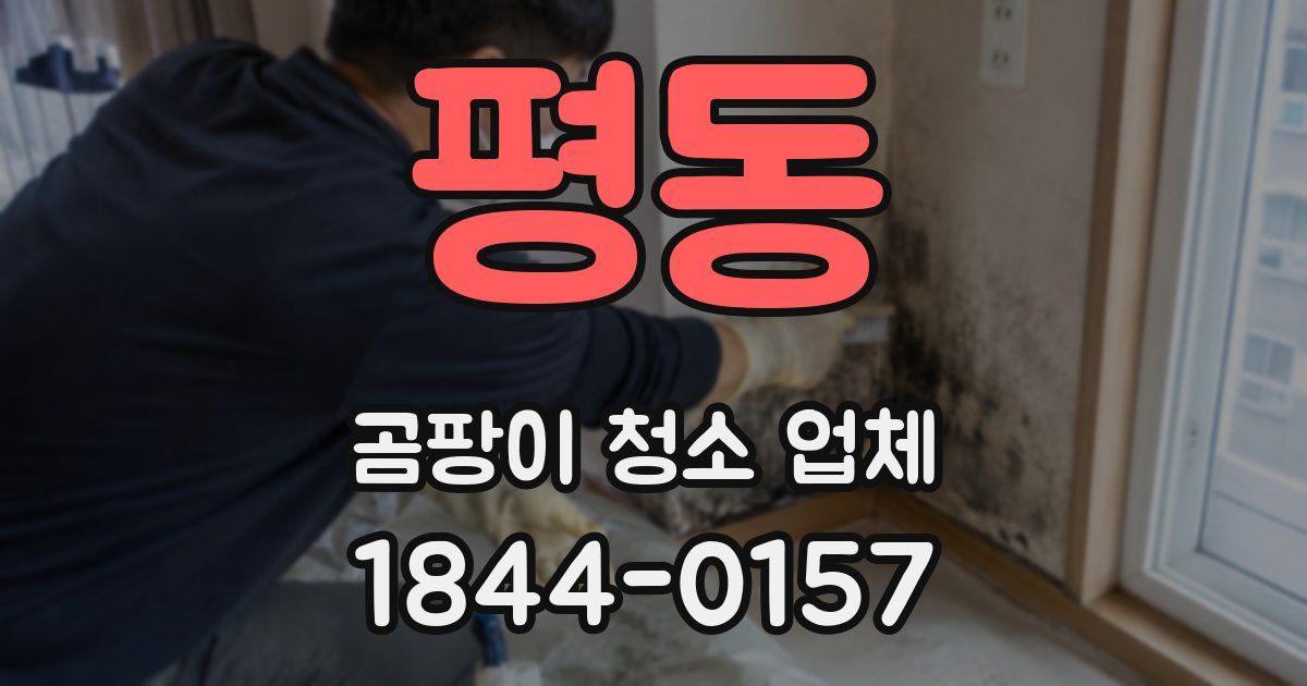 평동 곰팡이 청소 업체