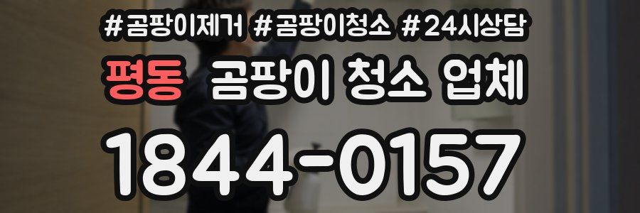 평동 곰팡이 청소 업체