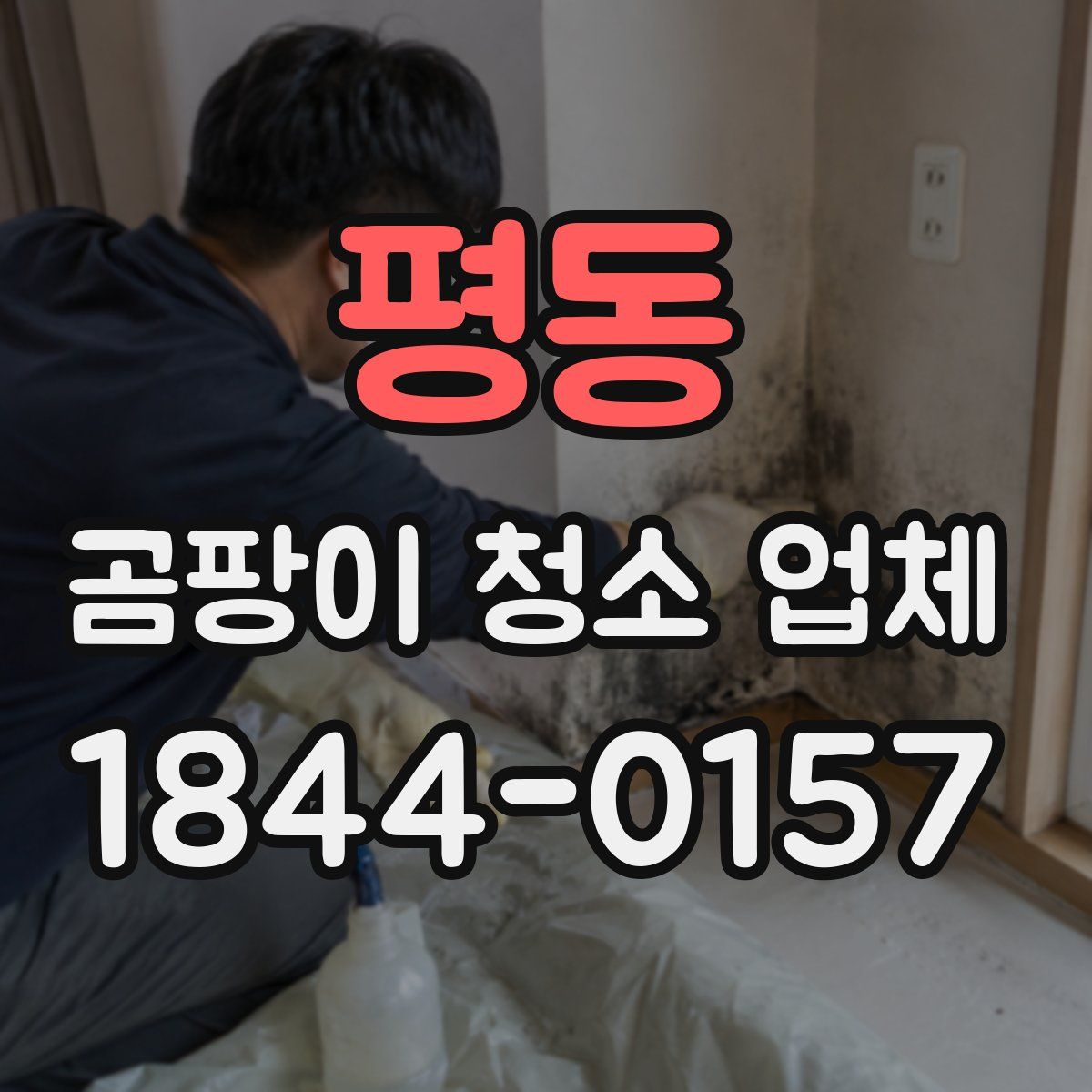 평동 곰팡이 청소 업체