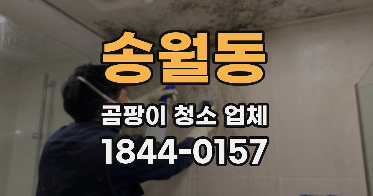 송월동 곰팡이 청소 업체