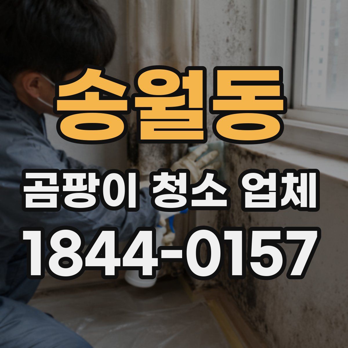 송월동 곰팡이 청소 업체