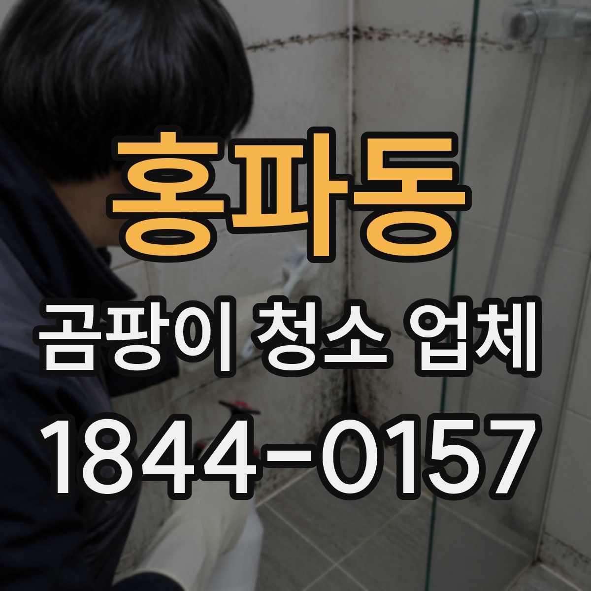 홍파동 곰팡이 청소 업체