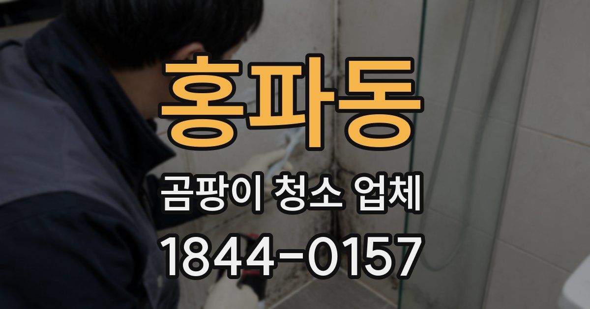 홍파동 곰팡이 청소 업체