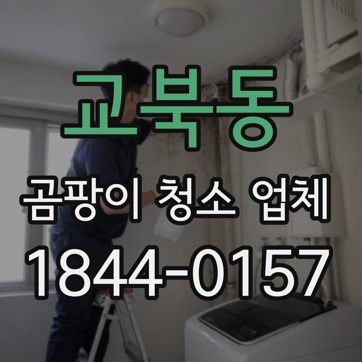 교북동 곰팡이 청소 업체