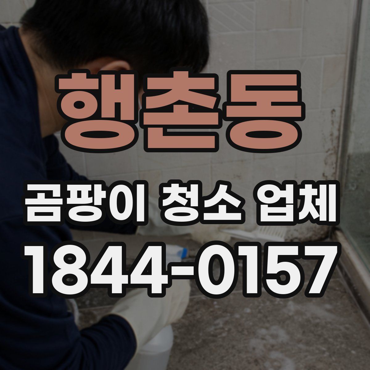 행촌동 곰팡이 청소 업체