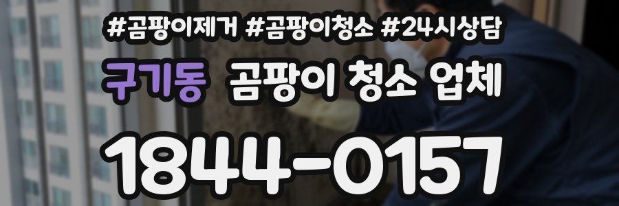 구기동 곰팡이 청소 업체