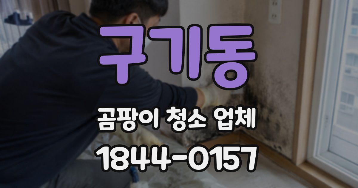 구기동 곰팡이 청소 업체