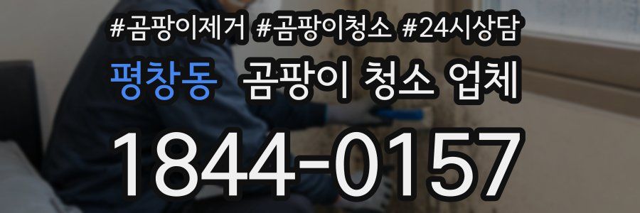 평창동 곰팡이 청소 업체