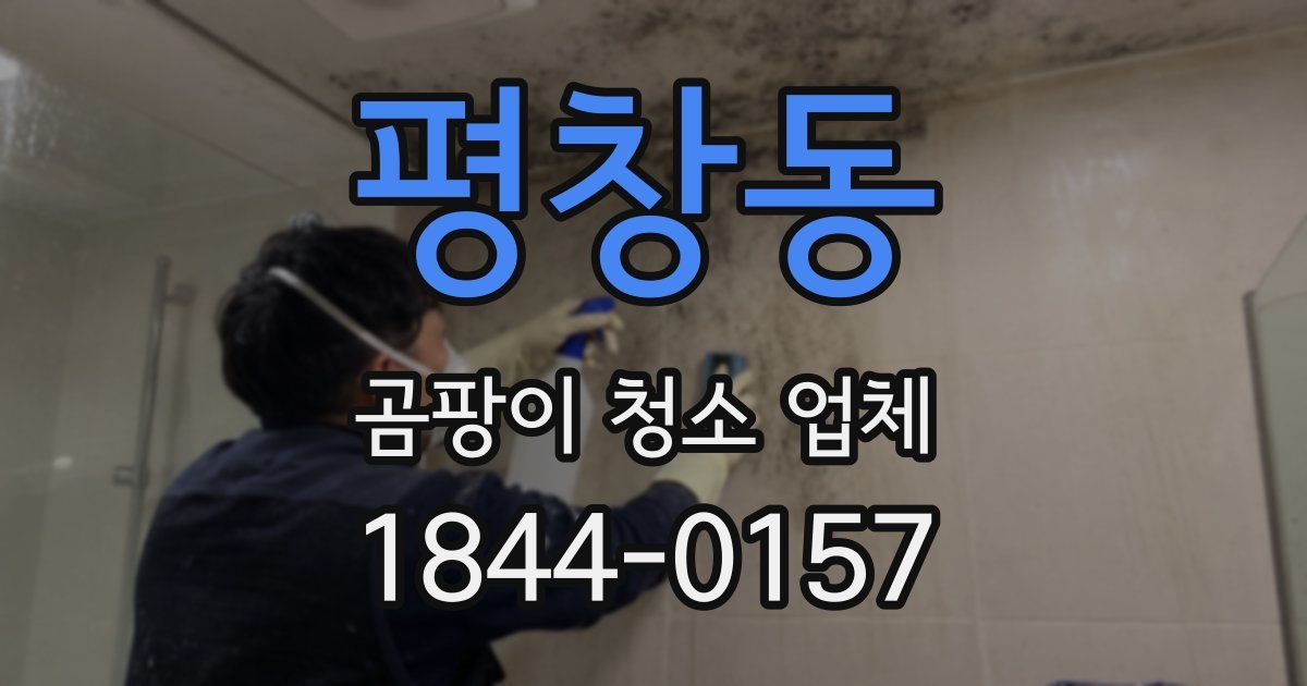 평창동 곰팡이 청소 업체