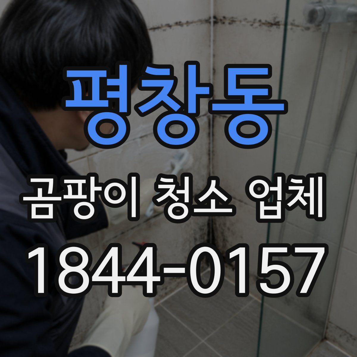 평창동 곰팡이 청소 업체