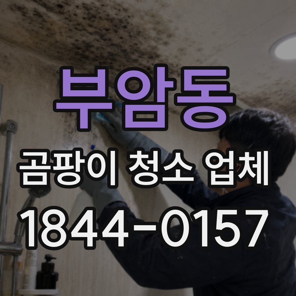부암동 곰팡이 청소 업체 반려동물 알레르기가 걱정될 때 확인할 기준
