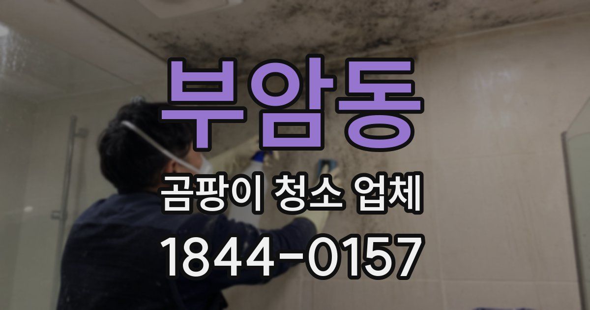 부암동 곰팡이 청소 업체