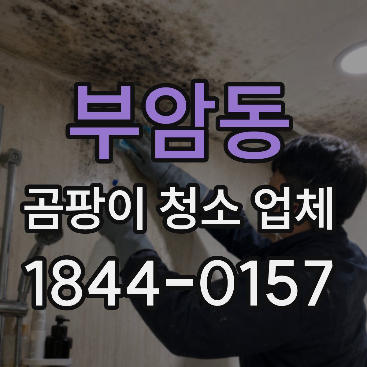 부암동 곰팡이 청소 업체