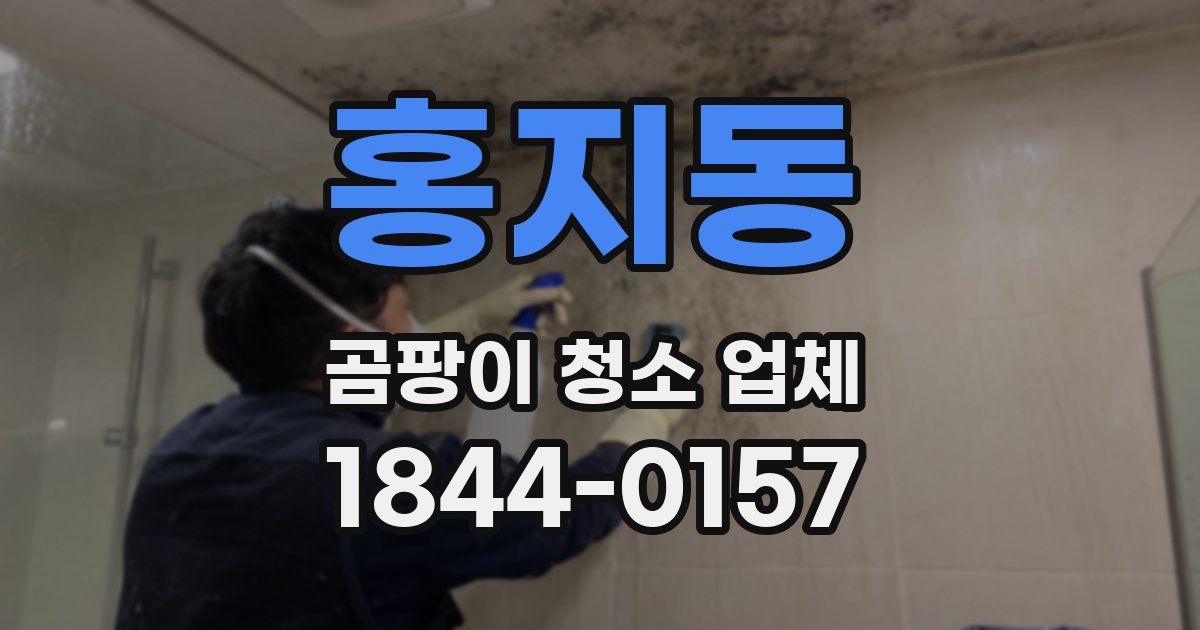 홍지동 곰팡이 청소 업체