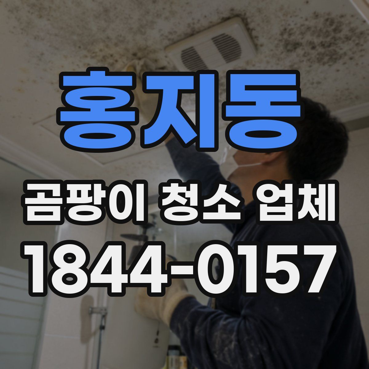 홍지동 곰팡이 청소 업체