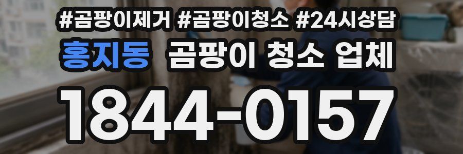 홍지동 곰팡이 청소 업체