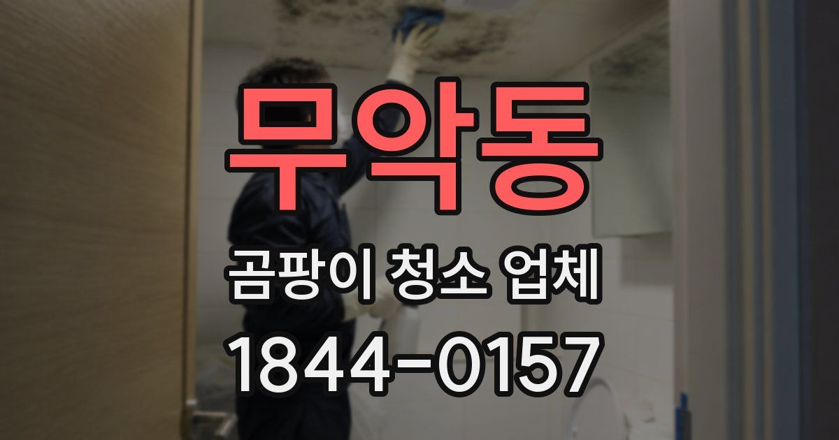 무악동 곰팡이 청소 업체