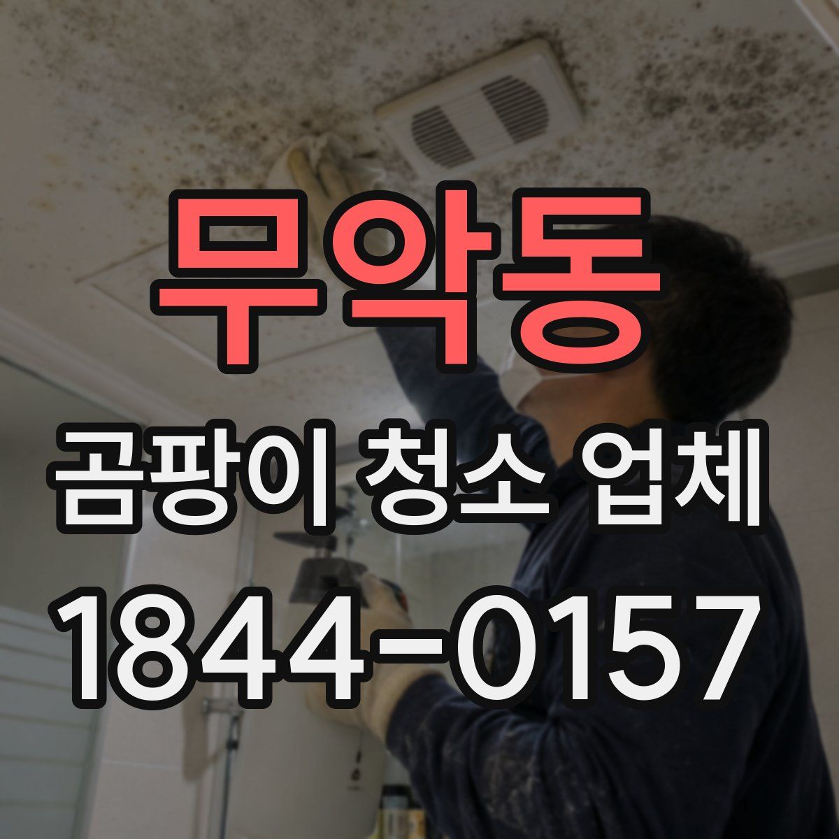 무악동 곰팡이 청소 업체