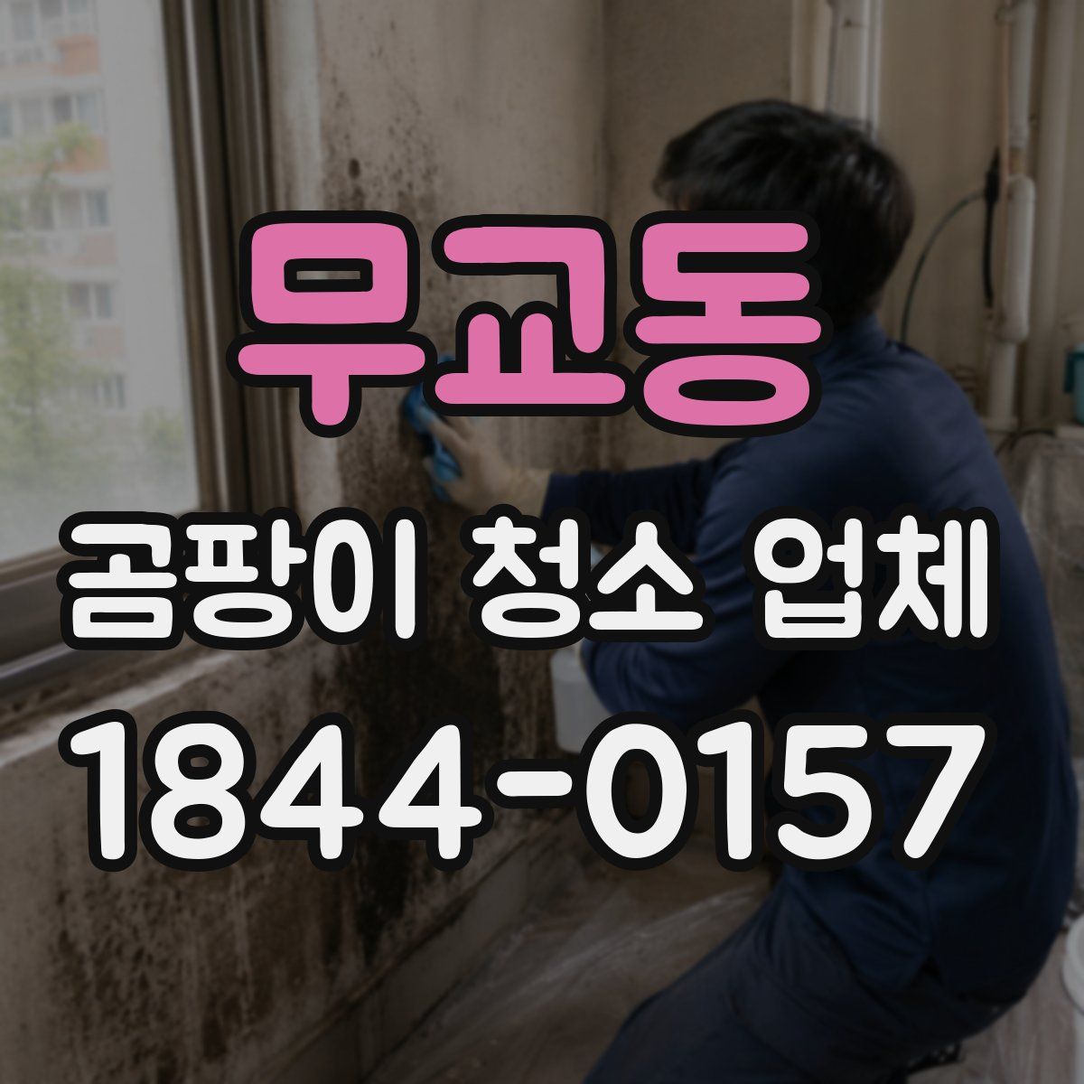 무교동 곰팡이 청소 업체
