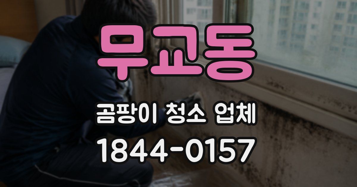 무교동 곰팡이 청소 업체