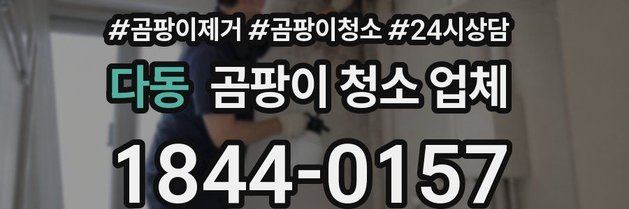 다동 곰팡이 청소 업체