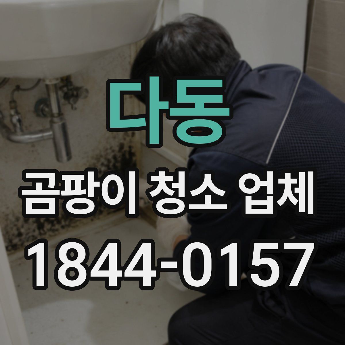 다동 곰팡이 청소 업체