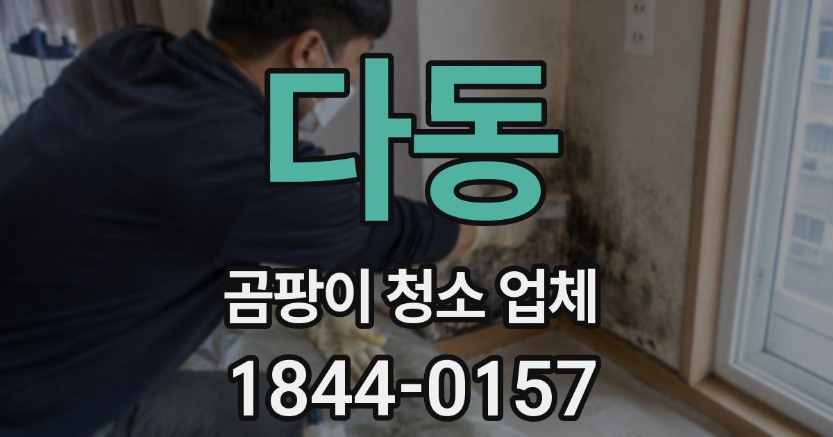 다동 곰팡이 청소 업체