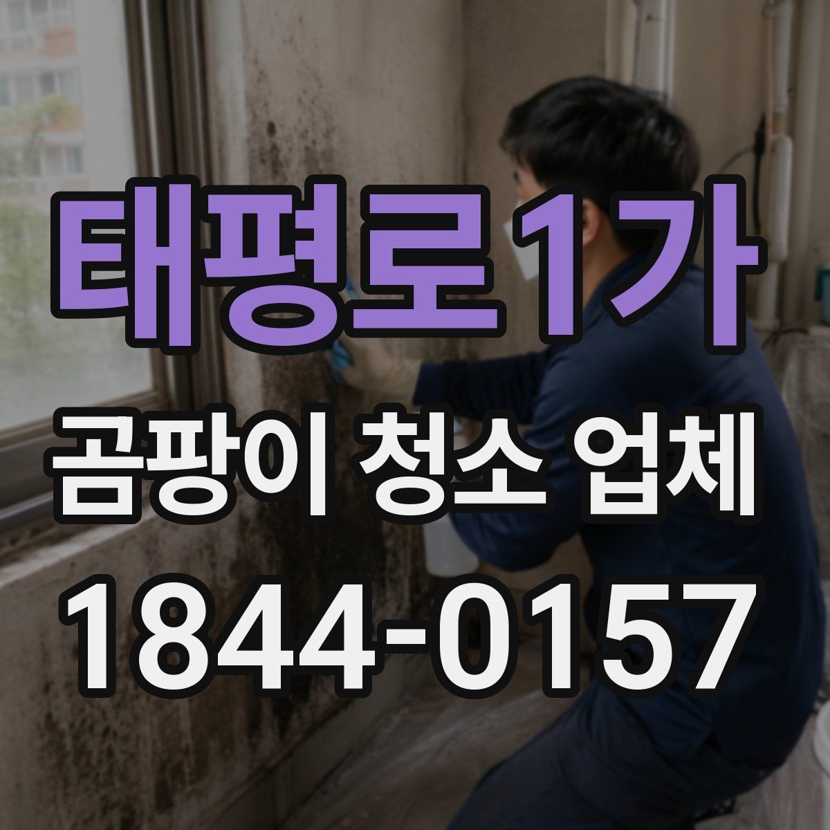 태평로1가 곰팡이 청소 업체