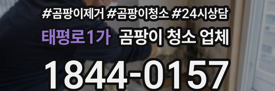 태평로1가 곰팡이 청소 업체