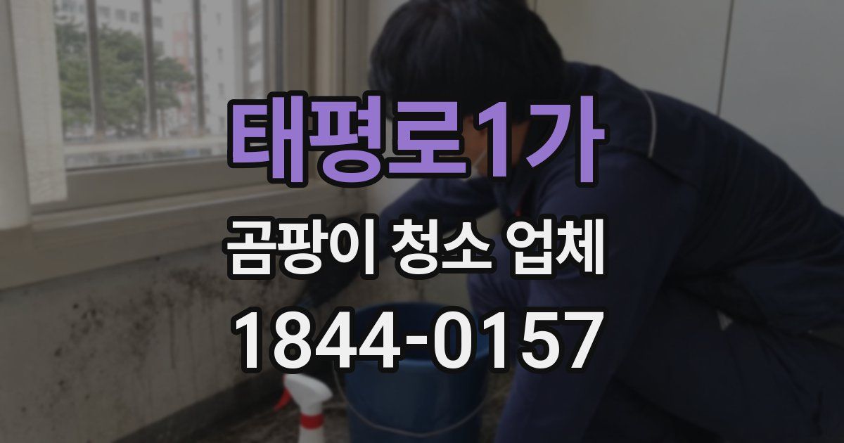 태평로1가 곰팡이 청소 업체