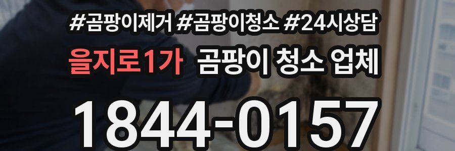 을지로1가 곰팡이 청소 업체