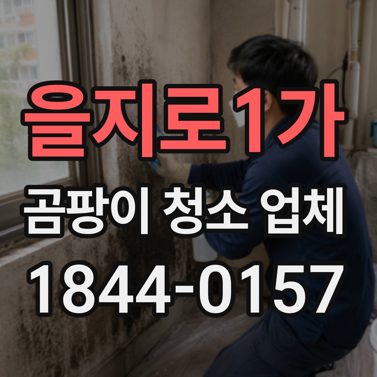 을지로1가 곰팡이 청소 업체