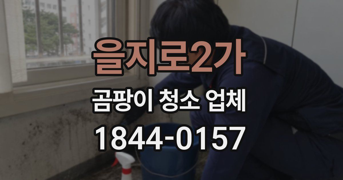 을지로2가 곰팡이 청소 업체