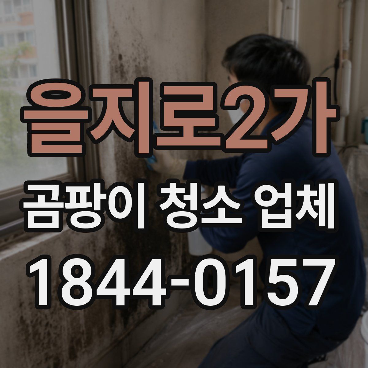 을지로2가 곰팡이 청소 업체