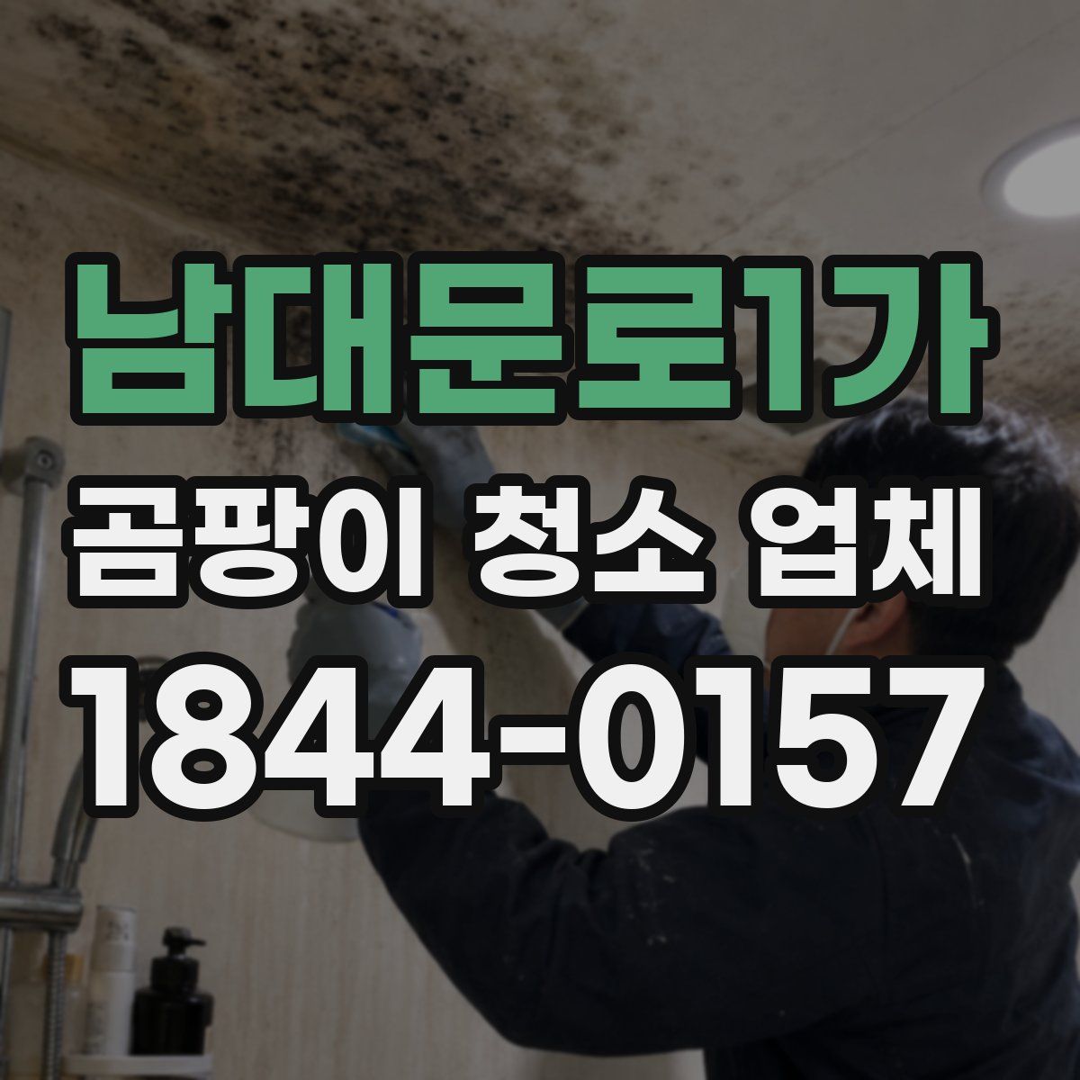 남대문로1가 곰팡이 청소 업체