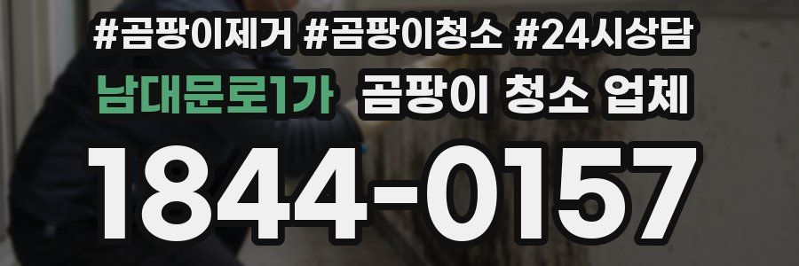 남대문로1가 곰팡이 청소 업체