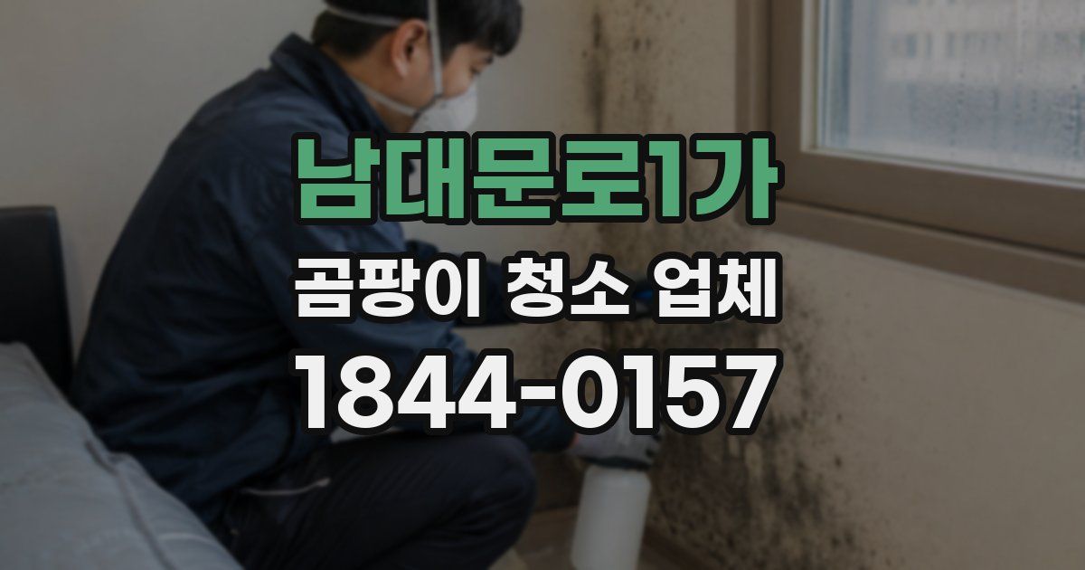남대문로1가 곰팡이 청소 업체