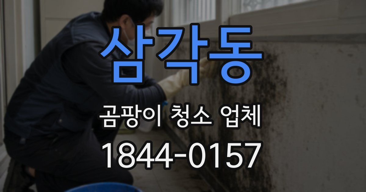 삼각동 곰팡이 청소 업체