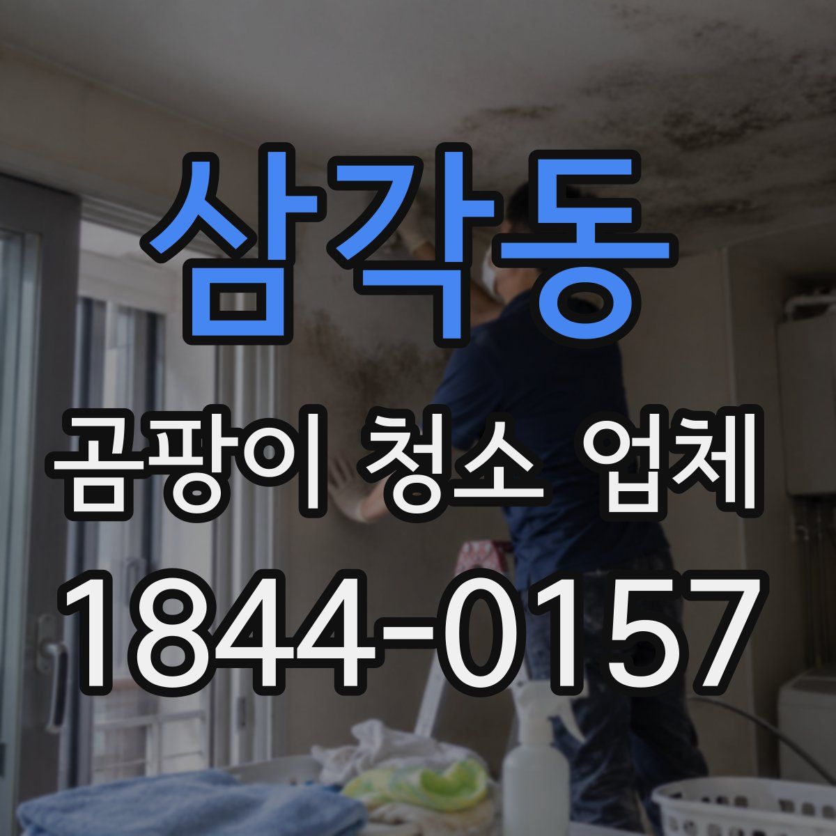 삼각동 곰팡이 청소 업체