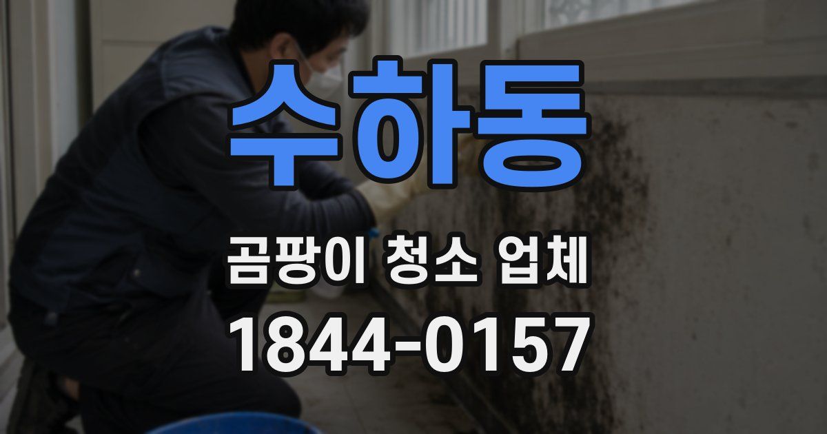 수하동 곰팡이 청소 업체
