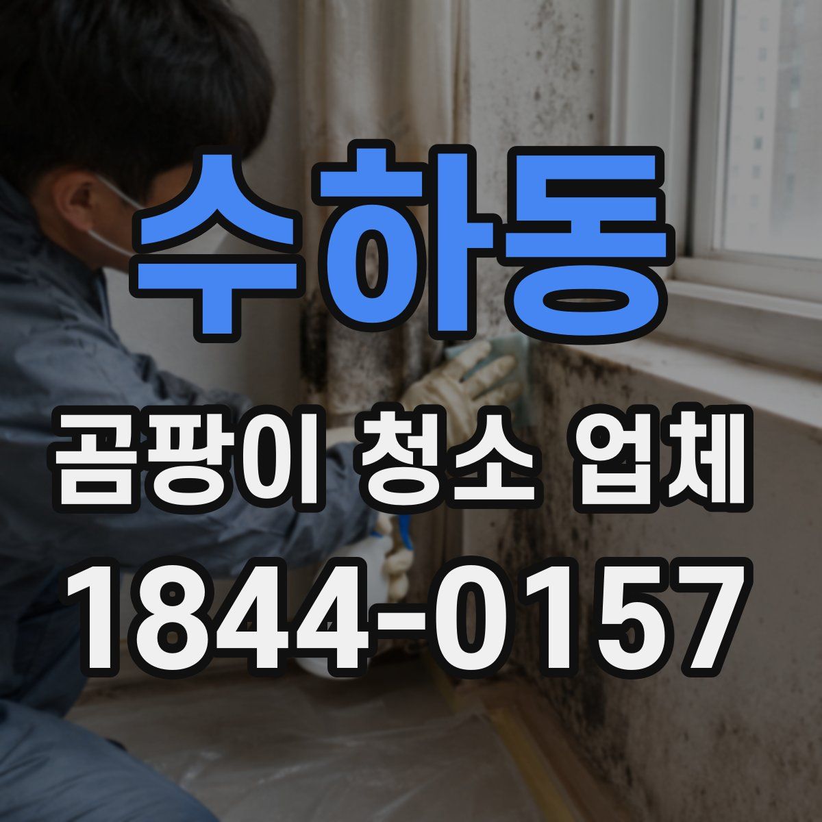 수하동 곰팡이 청소 업체