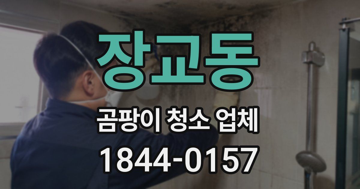장교동 곰팡이 청소 업체