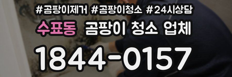 수표동 곰팡이 청소 업체