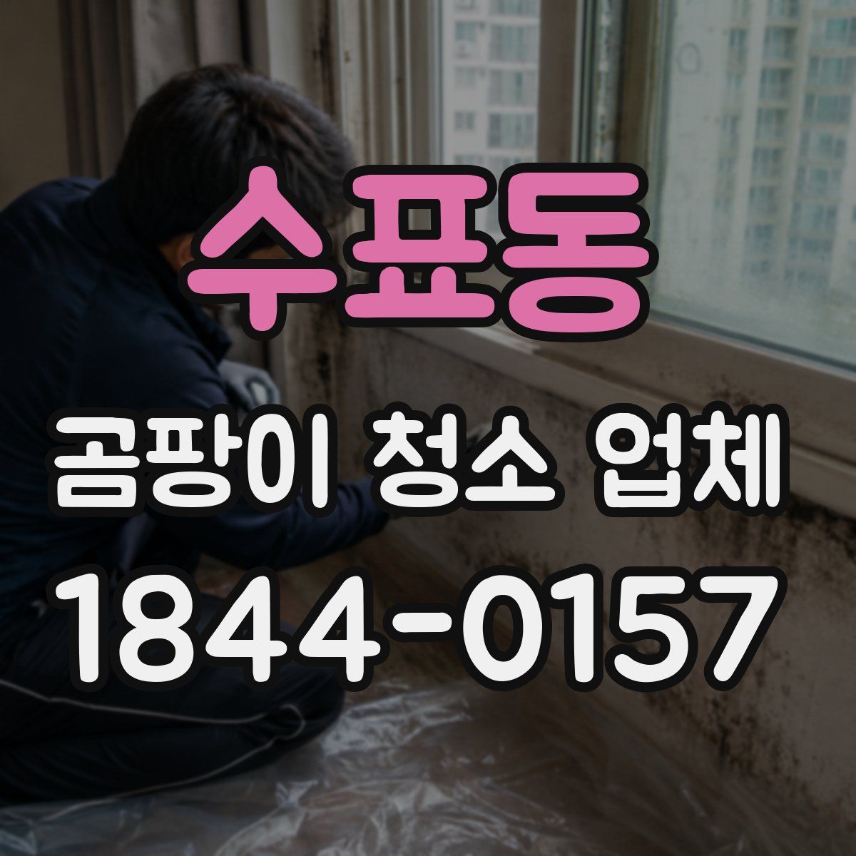 수표동 곰팡이 청소 업체