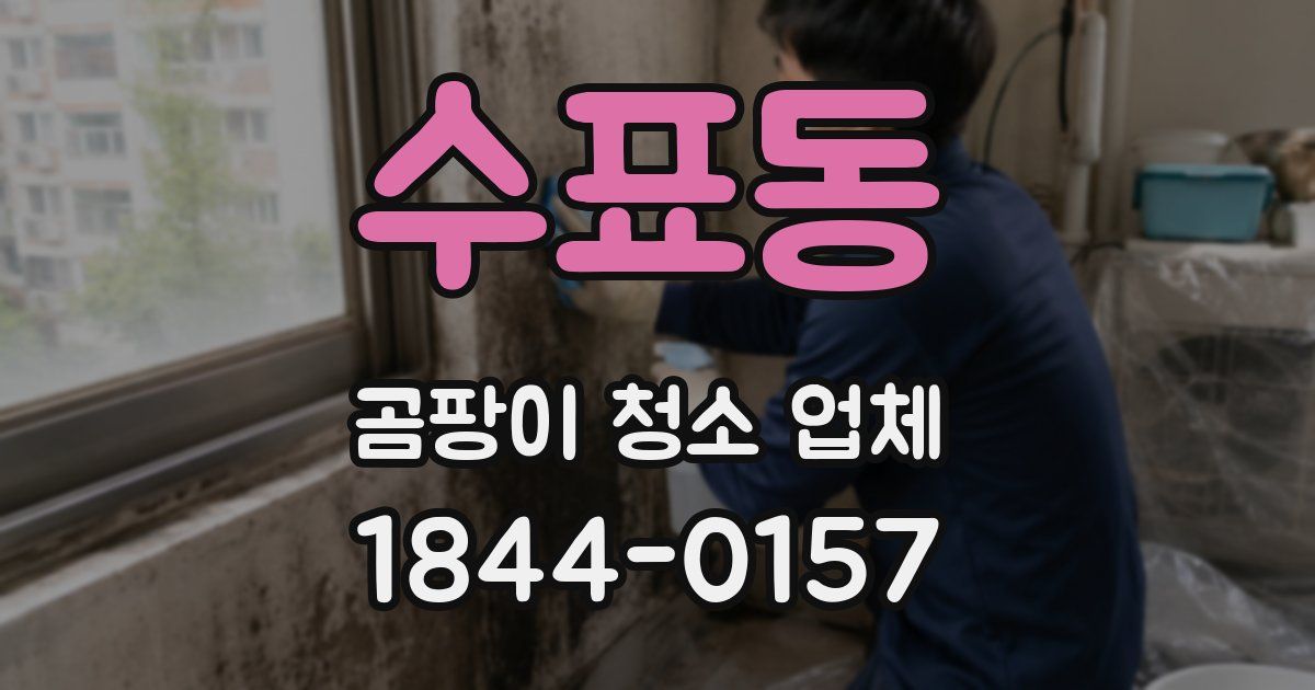 수표동 곰팡이 청소 업체