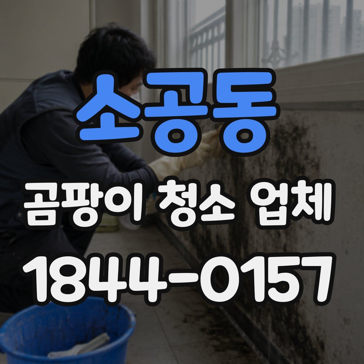 소공동 곰팡이 청소 업체