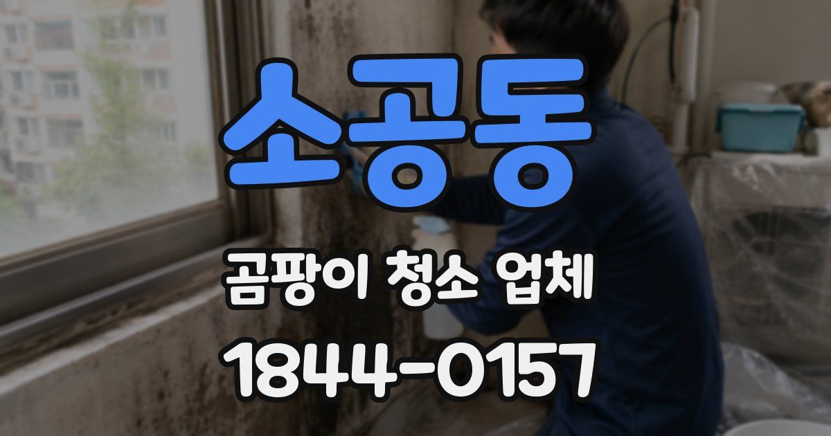 소공동 곰팡이 청소 업체